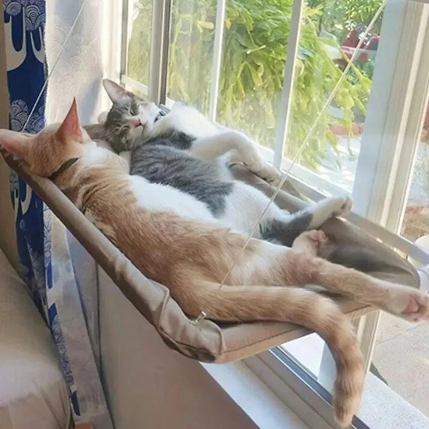 Hanging Pet Hammock