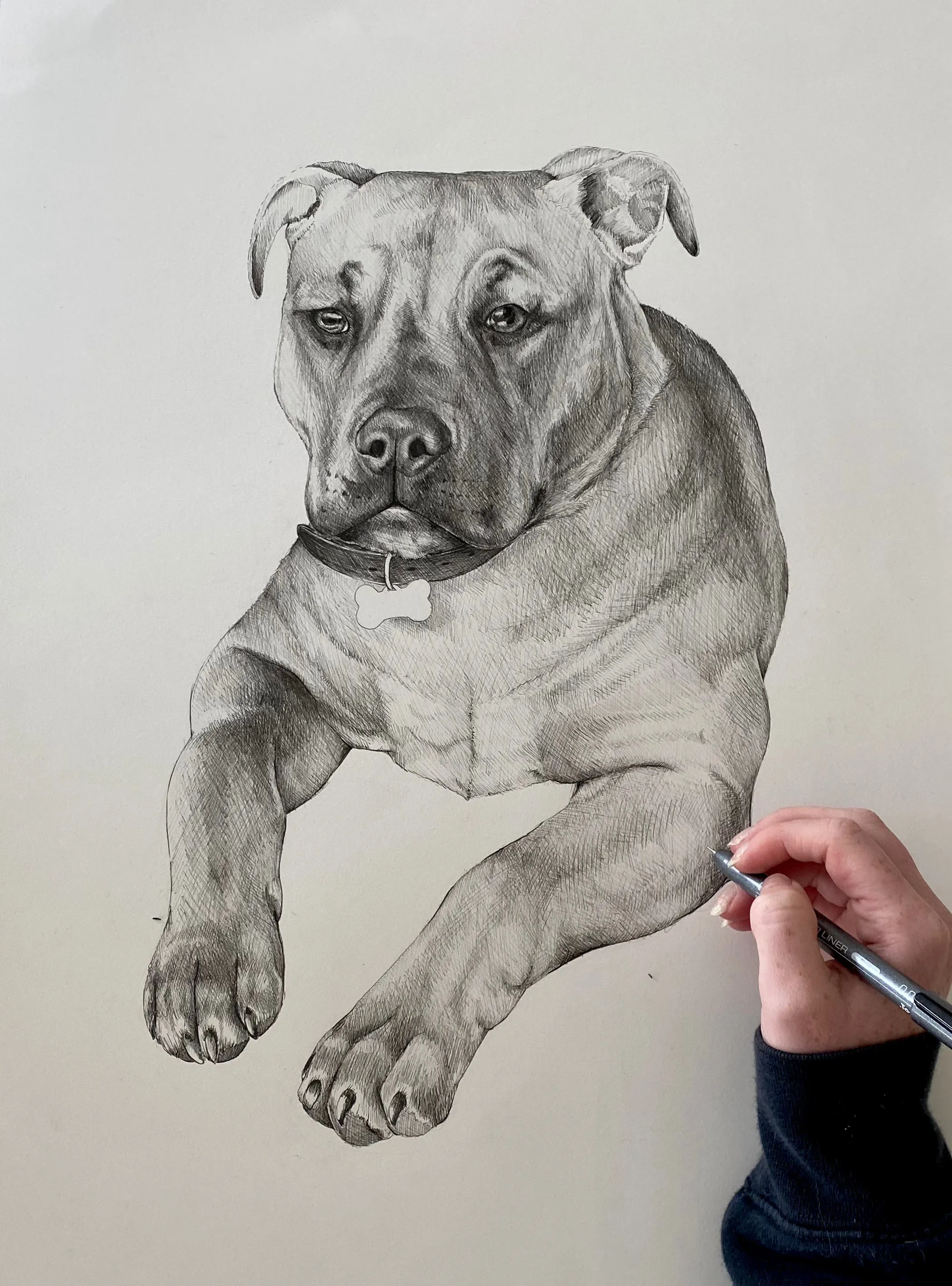PET COMMISSION